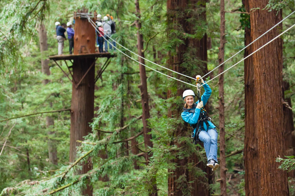 Mount Hermon » Adventures Home » Redwood Canopy Tour